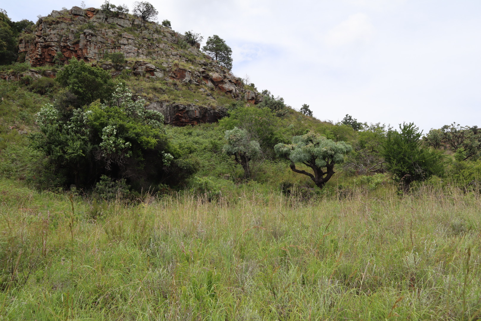 Description for Image 1